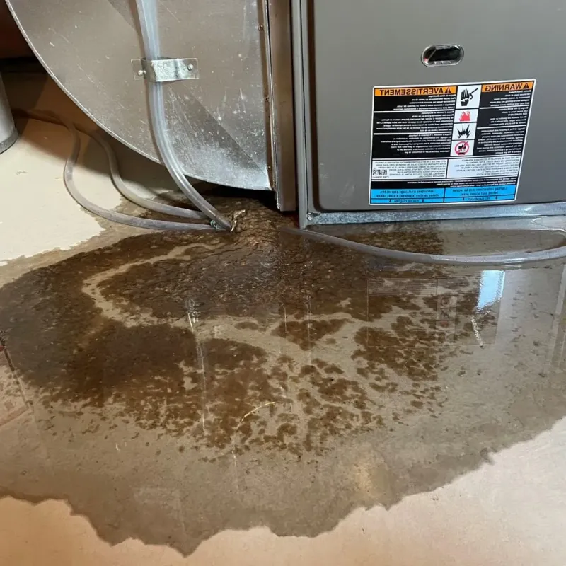 Pipe Burst and Leak Restoration in Robinwood, MD