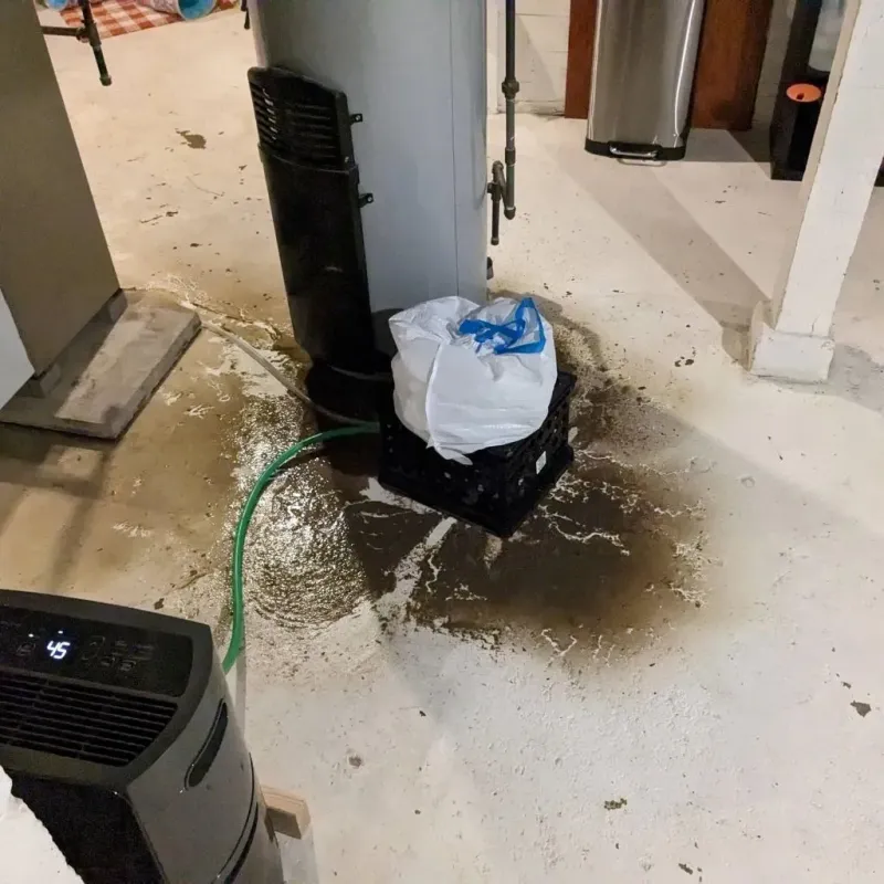 Sewage Backup Cleanup Service in Robinwood, MD